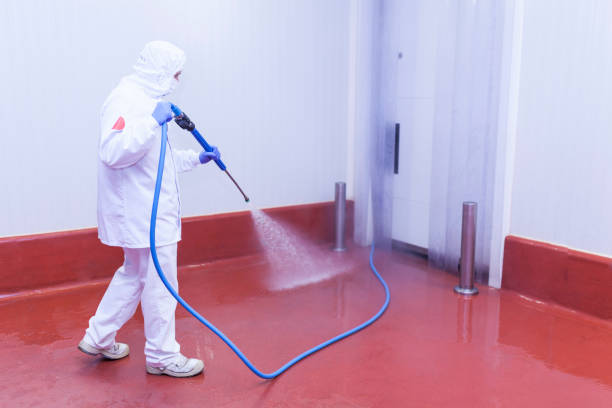 Trusted Maeser, UT Pressure Washing Experts